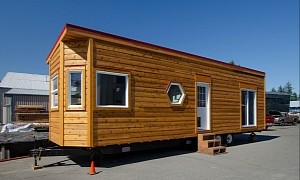 Northern Flicker Is a $50K Cat-Friendly Tiny House With an Open-Plan Kitchen