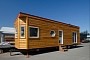 Northen Flicker Is a $50K Cat-Friendly Tiny House With an Open-Plan Kitchen