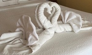 Norwegian Cruise Line Announces Ban of Towel Animals, World Mourns