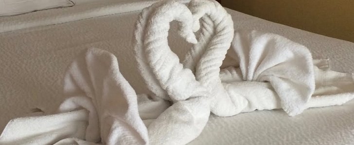 Norwegian Cruise Line says towel animals will only be available on demand from now on