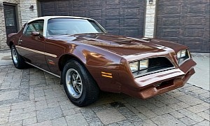 Not a Trans Am, But Check the Odometer: Low-Mile 1978 Firebird Formula Needs Minor TLC