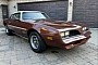 Not a Trans Am, But Check the Odometer: Low-Mile 1978 Firebird Formula Needs Minor TLC