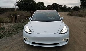 Not All Tesla Model 3 Owners Are Happy with Their Cars on Closer Inspection