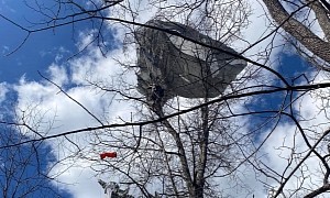 Not Cats, but U.S. Paratroopers Stuck in Trees Were Rescued by Firefighters
