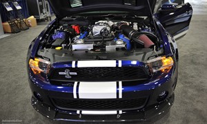 NYIAS 2011: Shelby GT500 Super Snake <span>· Live Photos</span>