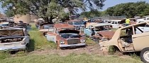 Old Junkyard Used to be Home to a Massive Hoard of Studebakers, They Were All Crushed