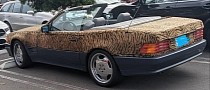 Old Mercedes SL Is a Strong and Independent Feline, Needs Xzibit to Introduce It