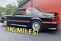 Old Mustang Looks Like a New Mustang, Has Just 3K Miles on the Clock