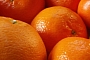 OMG: Cars Could Run on Fuel Made from Orange Peels!