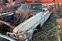 Once-Gorgeous 1966 Chevrolet Impala SS Is Now Just a Flowerpot, Pretty Sad Sight