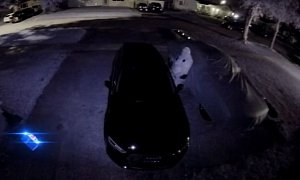 One Florida Cop Prevents Car Break-Ins by Checking Every Single Door Himself