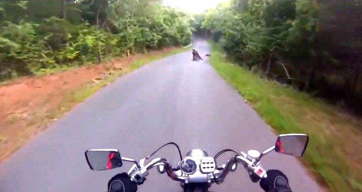 One More Bike vs Deer Crash