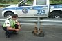 One of the Better Days for the Ecuadorian Highway Police Involved a Sloth