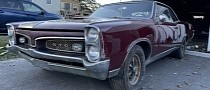 One-Owner 1967 Pontiac GTO Found in Massachusetts Barn After 43 Years, Very Original