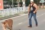 Only in Russia: Tiger Jumps from Passenger Car, Runs into Traffic