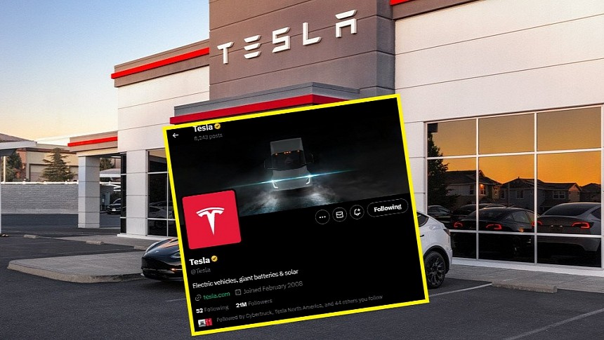 Tesla Store and Twitter (X) Account