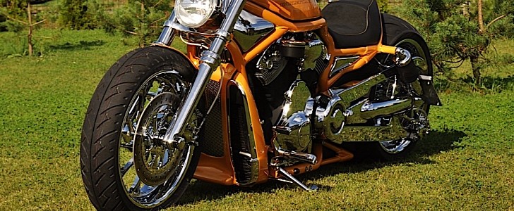 Harley-Davidson V-Rod by Fredy Jaates