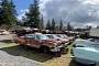 Oregon Junkyard Packed With Muscle Cars and Rare Classics Is Mopar Heaven