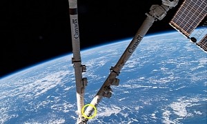 Oribtal Space Junk Hits ISS Robotic Arm, Leaves a Hole in the Process