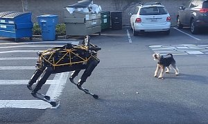 Our Mothers Were Right: It's a Dog Eat Robodog World Out There