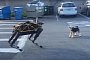 Our Mothers Were Right: It's a Dog Eat Robodog World Out There