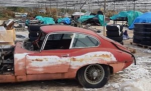 Over 30 Classic Jaguars Found in English Greenhouse Because Barns Are so Tacky