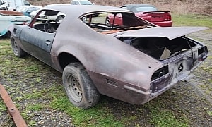 Owner Passed During Restoration: Purple 1973 Firebird Needs Yet Another Chance