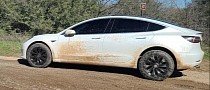 Owner Spends $2,700 To Turn Tesla Model 3 Performance Into a Capable Soft-Roader