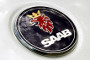 Pang Da Seeks Permission to Invest in Saab