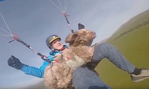 Paragliding Dog Is Named Britain’s Bravest Pet