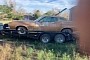 Parked for Oil Change and Forgotten: 1974 Ford Torino Sitting for 42 Years, All Original