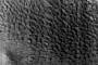 Patterned Dunes on Mars Have Humans Scratching Their Heads