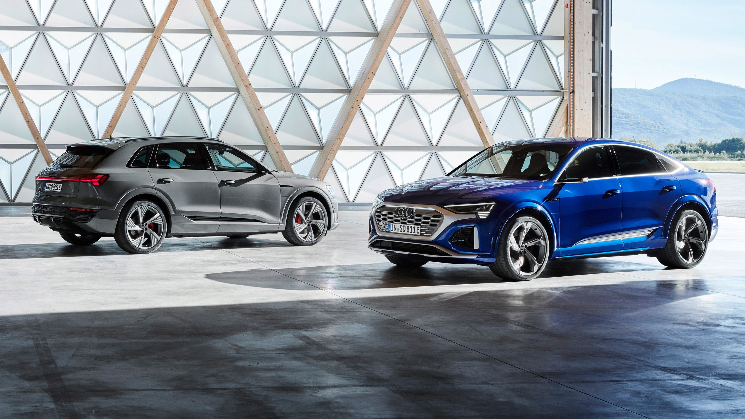 https://s1.cdn.autoevolution.com/images/news/pay-for-your-2023-audi-q8-e-tron-today-take-delivery-next-april-203780_1.jpg