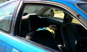 Pedestrian Confuses Wig For Child, Calls Police To Break Car Window