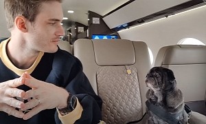 PewDiePie Flies His Dogs on Charter Private Jet Because They’re Too Fat for Commercial