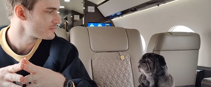 PewDiePie and Edgar, the pug too "fat" to fly commercial
