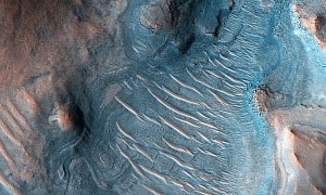 Piece of Mars Seems to Be Swarming With Dune Sandtrout