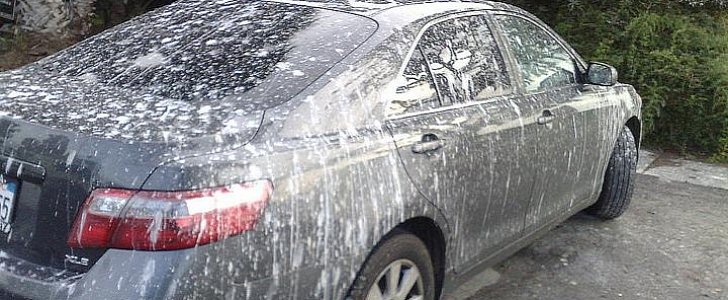 Car owner forced to pay fine because pigeon poop covered valid parking permit