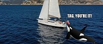 Pod of Orcas Attack and Sink a Sailing Yacht in 45 Minutes