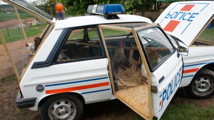Police Car Becomes Chicken Coop