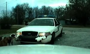 Police Car Ripped Apart by Dogs