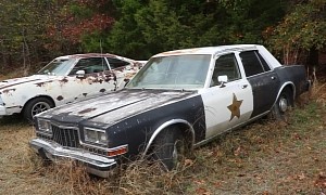 Police Dodge Diplomat Sat Abandoned for Twenty Years, Needs Some TLC To Get Its Badge Back