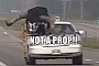 Police Pull Over Modified Crown Victoria With a Live Bull Riding Shotgun