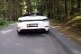 Porsche 718 Boxster with Remus Axle-Back Exhaust Goes Singing in the Woods