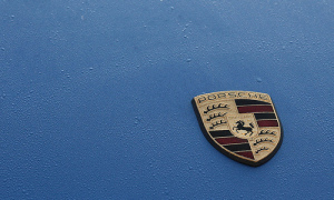 Porsche Backs Down on KfW Loan