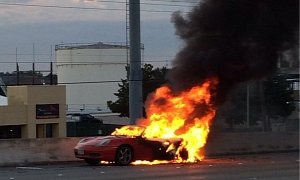 Porsche Boxster Burns to the Ground in Houston, Heavy Traffic on I-45 NB