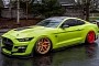 Portland Man Builds World's First Bagged 2020 Shelby GT500, Purists Retaliate