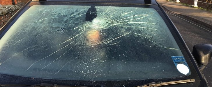 Teens smashed car windshield with rock, will have to apologize to the victim face to face