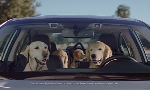 Puppy Bowl 2016: Subaru's Family of Lovable Dogs Drive Cars, Melt Hearts