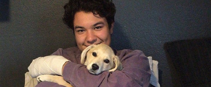 19YO and pup are reunited 2 weeks after they were both in a crash